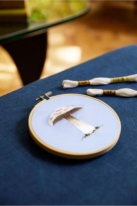 TB236 Kit broderie champignon prince