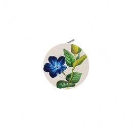 98982-pervenche_1
